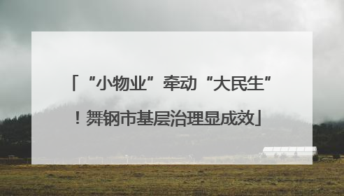 “小物业”牵动“大民生”！舞钢市基层治理显成效